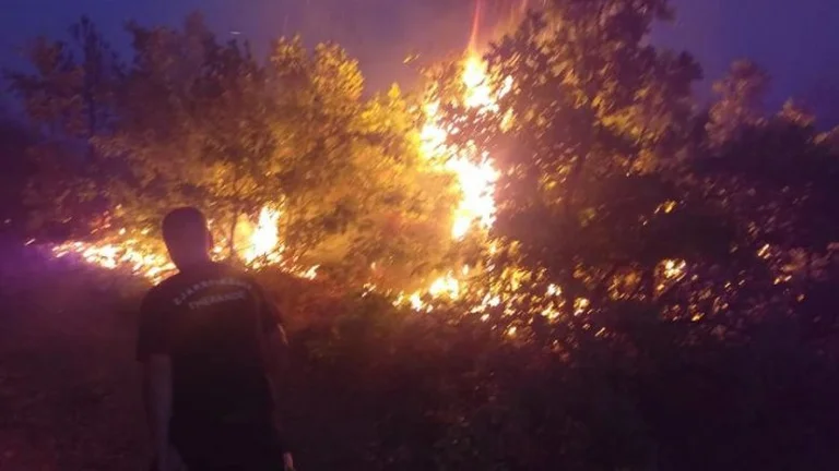 Burn several acres of the mountain and 10 acres of hammulor in Podujevo