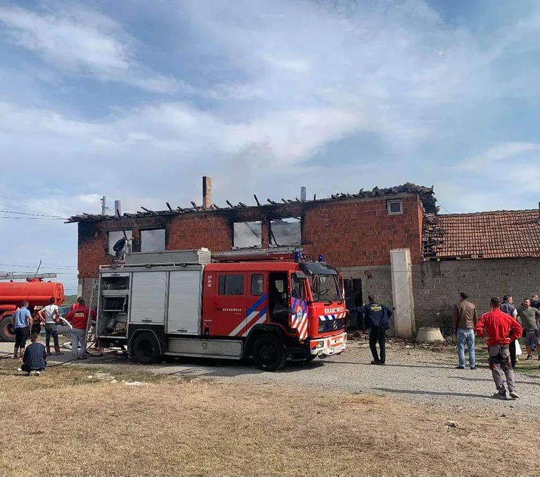 I vigili del fuoco ci hanno detto che erano carbonizzati.