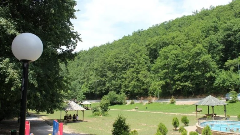 Shfaqet një ari në Parkun e Gërmisë, Ahmeti kërkon nga qytetarët të shmangin frekuentimin