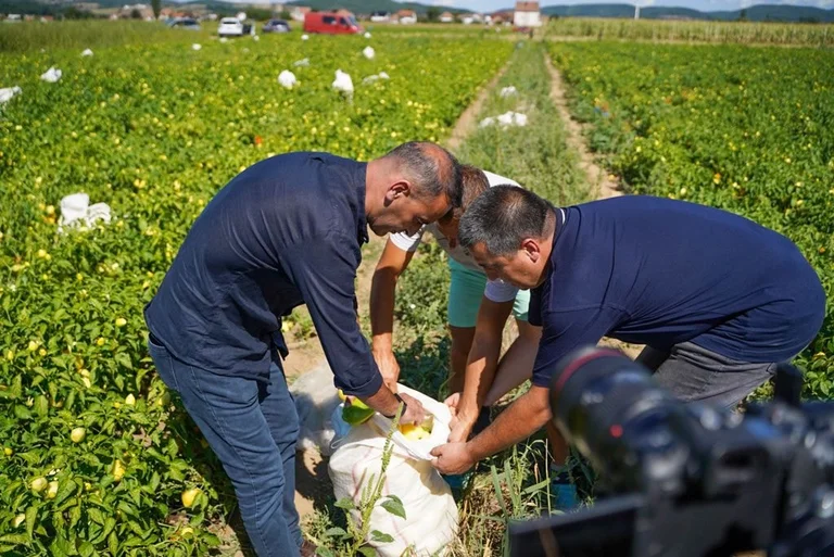 Daut Haradinaj: Prodhuesve do t’u ofrojmë treg modern për promovimin dhe shitjen e produkteve