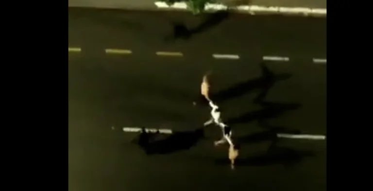 Dhjetë pengje kapen si mburoja të gjalla, kriminelët rrethojnë policinë dhe lënë bomba nëpër qytet
