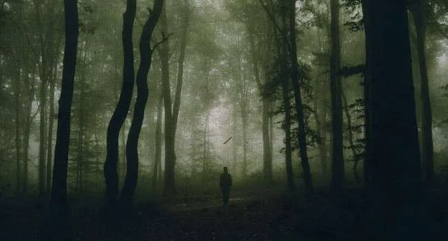 Drenas: Le tre persone che hanno rapito e picchiato una persona nel bosco vengono arrestate