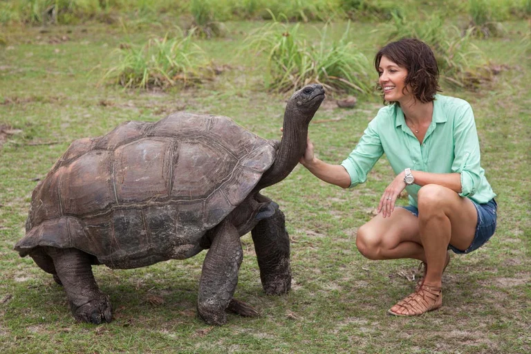 Hororal: The giant vegetarian turtle is filmed eating the bird (Video)
