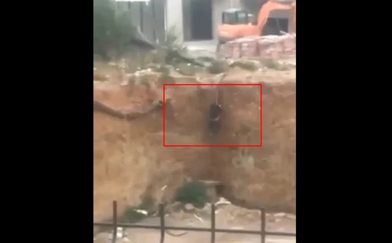 The moment when Dardan Krivaqa, suspected of the 18-year-old murder in Ferizaj, tries to hide from the police?