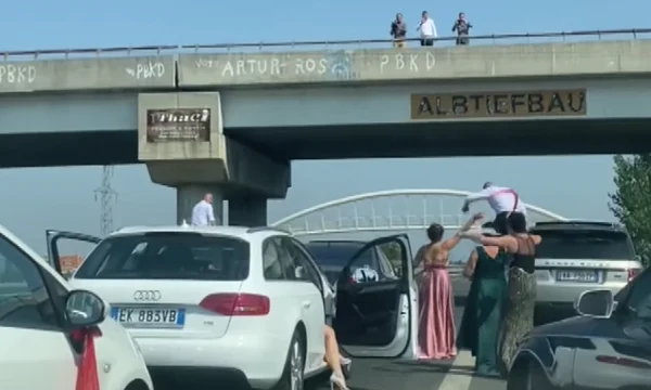 Dasmorët bllokojnë autostradën, kërcejnë mbi makina në mes të rrugës