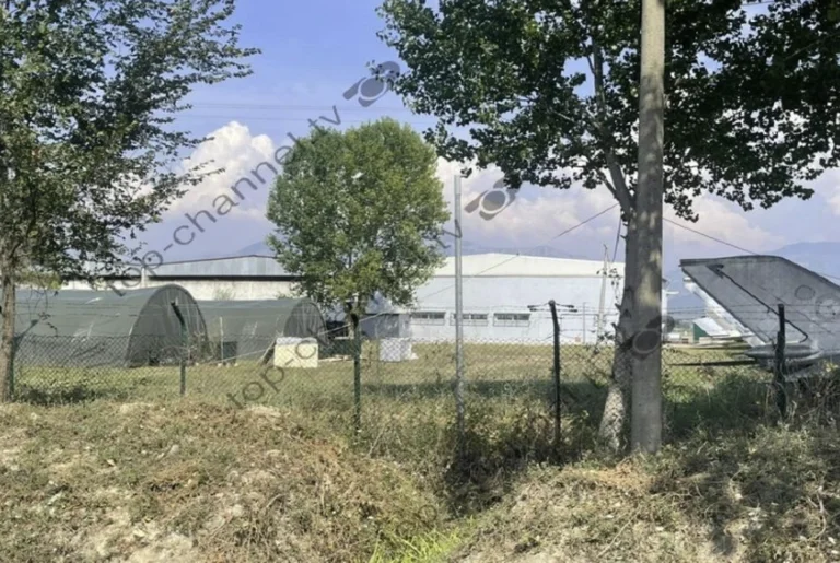 Avioni me afganë që do të mbërrinte në Shqipëri s’është nisur ende nga Kabuli, ja arsyeja