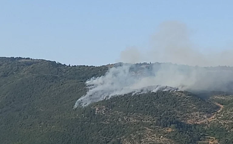 Zjarret në Shqipëri, digjet zona e UNESCO-s