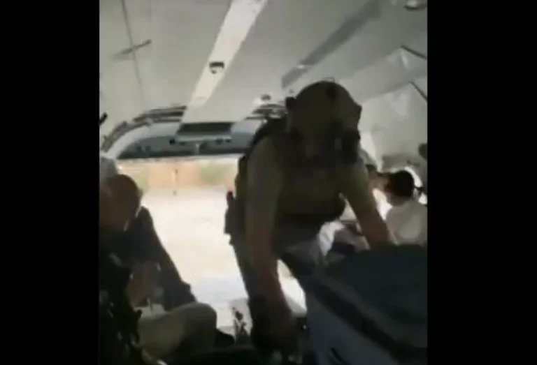 Ambasadori francez publikon pamje teksa lë Zonën e Gjelbër të Kabulit (VIDEO)