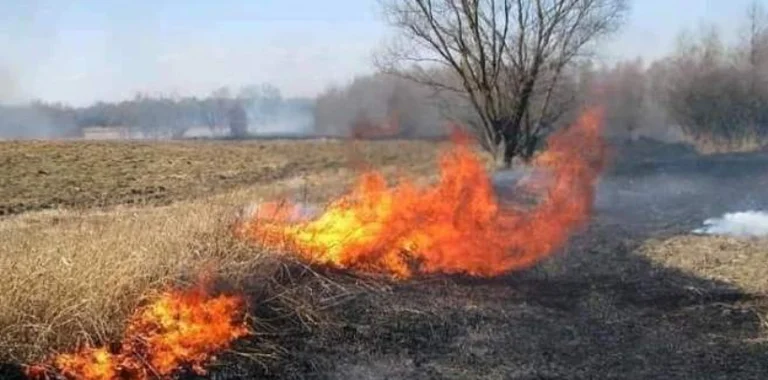 Prizrenasi ia vë flakën shkurreve në arën e tij, zjarri përhapet edhe në arat tjera