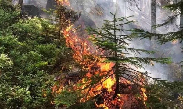 Një vatër e re e zjarrit në zonën e Rugovës