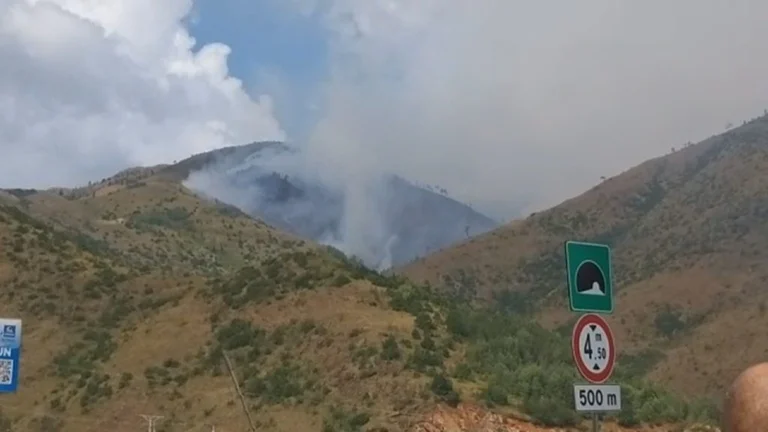 Pas tre javësh, zjarret në Shqipëri vihen nën kontroll