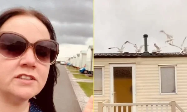 E lanë gjithë natën pa gjumë nga muzika, do të habiteni se si ua ktheu fqinjëve kjo grua