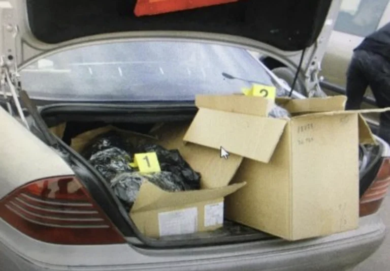 Tre shtetas të Serbisë kapen me 11 kilogramë marihuanë në Gjilan