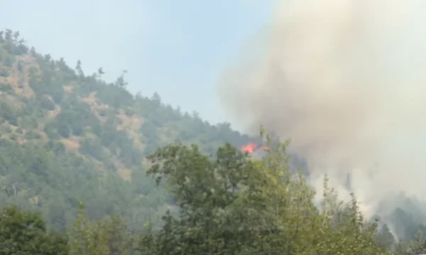 Dy vatra të reja në Kalimash, vijon puna për izolimin e zjarreve për të mos rrezikuar tunelin