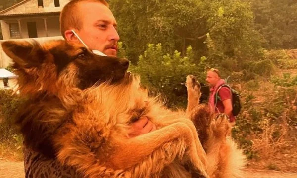 Pronari e kishte lidhur qëllimisht të digjej, gjesti human i të riut që shpëtoi qenin bëhet virale