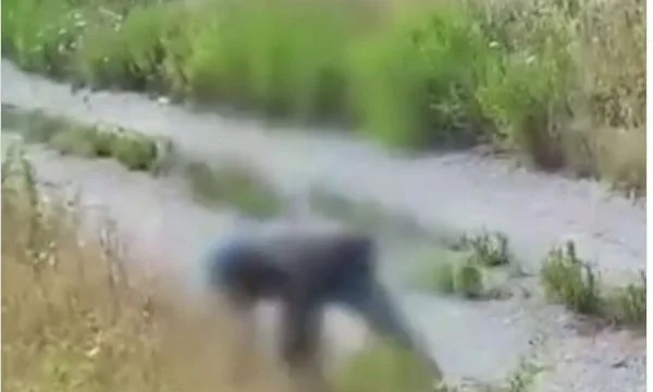 Zjarri në Itali: Momenti kur një person ndez zjarrin qëllimisht