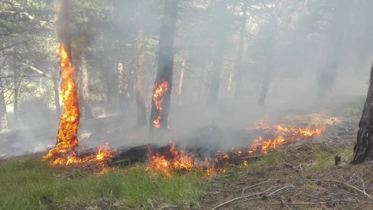 Zjarre në fshatrat e Ferizajt dhe Gjilanit, shkaktohen dëme