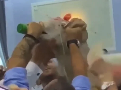 Esto sucede sólo en las bodas albanesas: Shocker, poner a Love en la sala de bodas y darle una cerveza con violencia