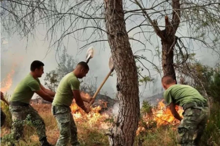 Fuegos en Vlora, evacuación humana requerida