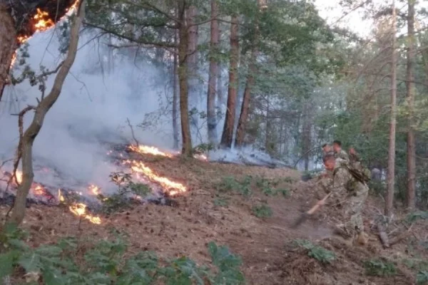 Macedonia del Norte: estado de crisis de 30 días revelado debido a incendios