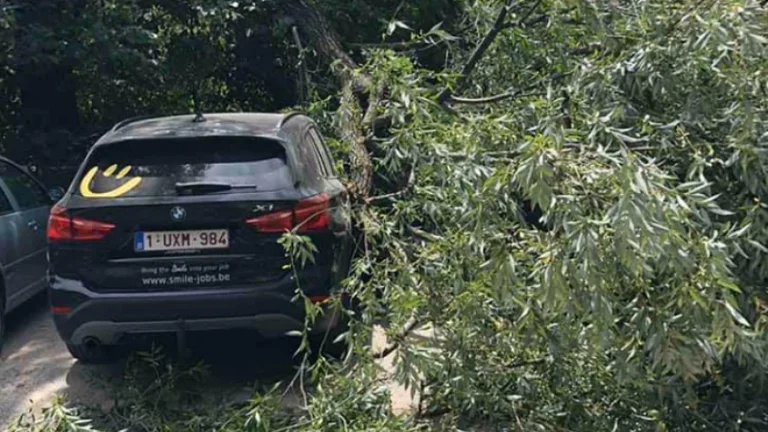 Tempo in Kosovo destabilizzato, forti venti abbattere alberi a Pec