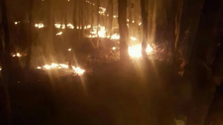 Deux nouveaux incendies à Malisheva sont localisés par des pompiers
