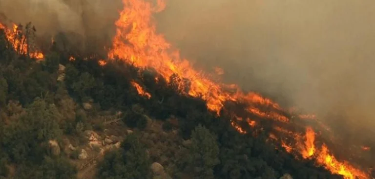 Les résidents sont contraints de libérer des résidences après avoir menacé les incendies en Albanie
