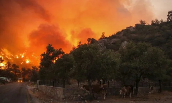 Los extremistas kurdos asumen la responsabilidad de los incendios en Turquía,