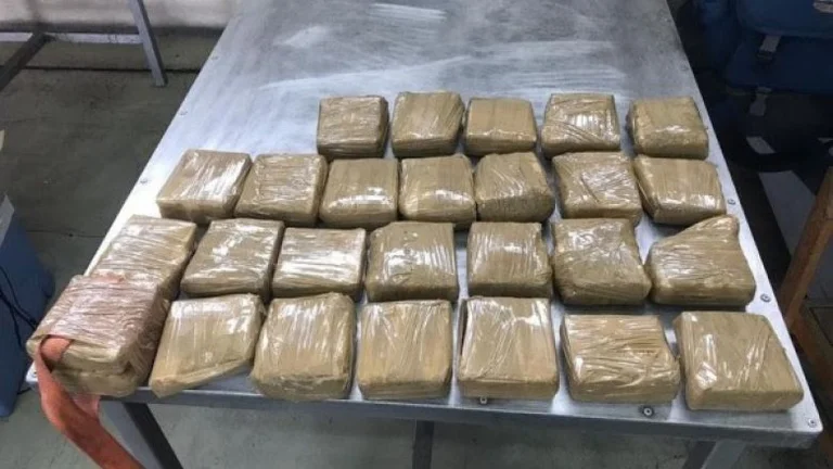 Sie haben über 14kg Drogen an der Muriqaan Grenze von Shkodra gefangen