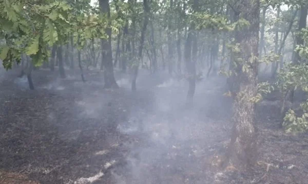 8 Firinggelände in Suhareka, Feuerleute können einige Berge nicht durchdringen