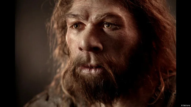 Neanderthals sacude a los científicos: Su arte en España cuenta de la capacidad intelectual