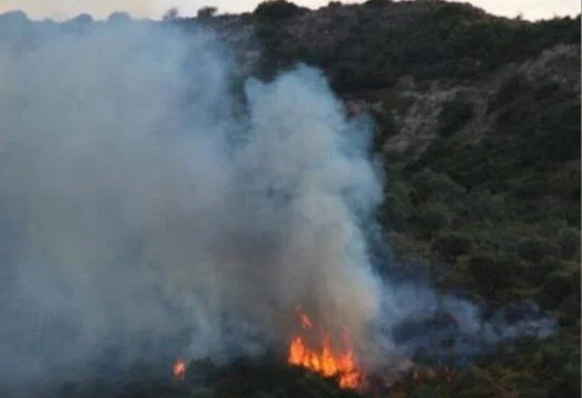 Fuegos cerca del cementerio en la aldea de Babimovc en Obilic, sospechoso arrestado