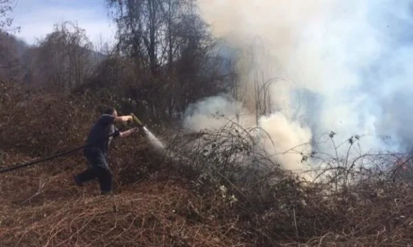 MPB: Tres lugares involucrados en incendios, en Pec, la situación más grave