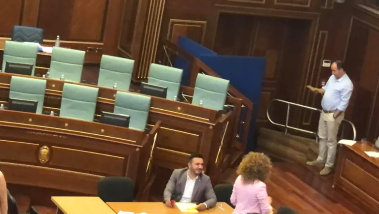 Opposition MP ignoriert ihre Partei wieder: Es ist ein Gespräch mit Kurt, bis sie für Boards stimmen.