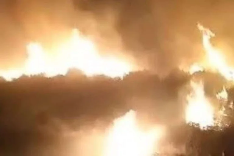 La situación del fuego sigue siendo crítica en Vlora