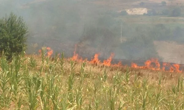 Ministero dell'Appello Agricoltori: Non bruciare il hammulor, altrimenti ci saranno misure