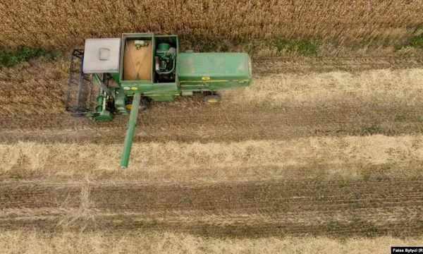 Kosovo este año con menos grano, las expectativas fueron mayores