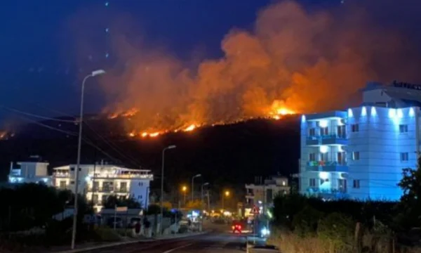 Zjarret në Shqipëri, zv.ministrja e Mbrojtjes: Autorët do të vihen para përgjegjësisë