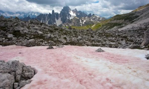 La neige rouge dans les Alpes françaises ce qui cause ce phénomène naturel