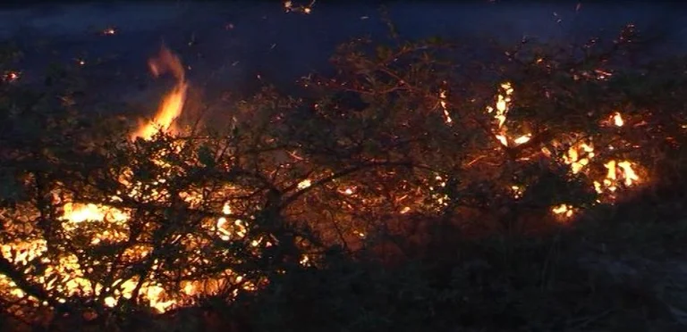 Los incendios incluyen Kukes, las llamas rodean refugios en Shikaj