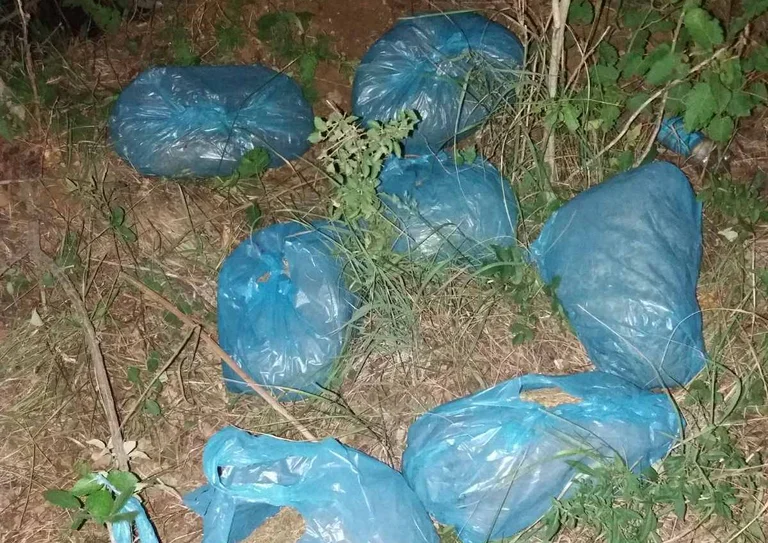 Sie fangen 7 Kilo Marihuana im Dorf Zuba