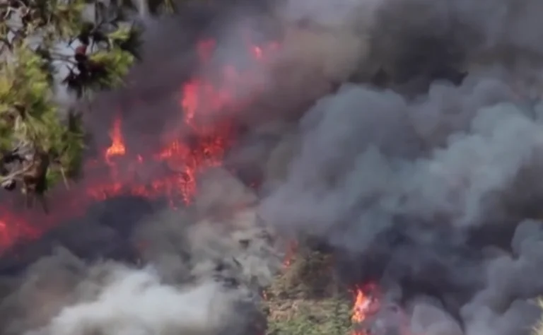 Fires in Turkey: Flames also threaten local tourist resorts