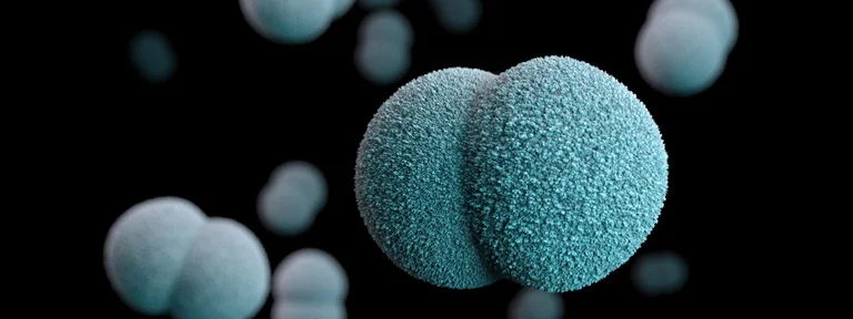 Les scientifiques ressuscitent 100 millions de bactéries âgées d'un an