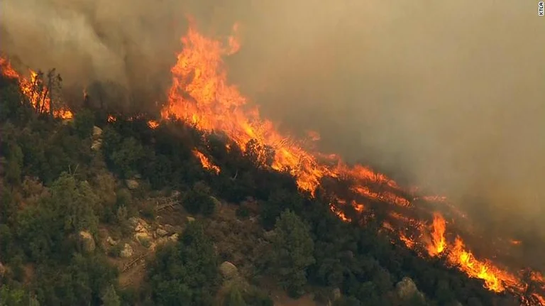Feu dans la forêt de Turquie, brûle des dizaines de maisons, et trois personnes blessées