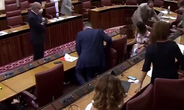 El ratón entra en la bóveda: Ovitama, el grito de escape de los parlamentarios españoles (Vídeo)