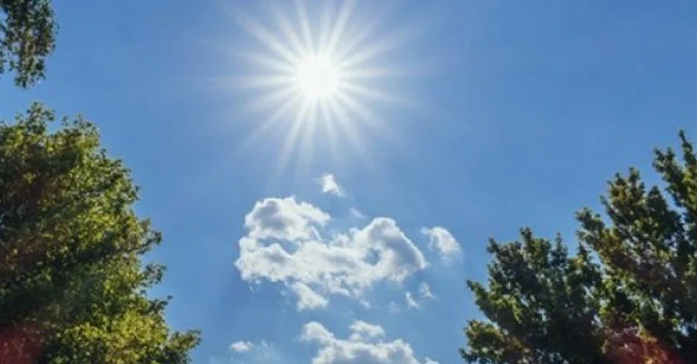 Parashikimi i motit për 5 ditët e ardhshme