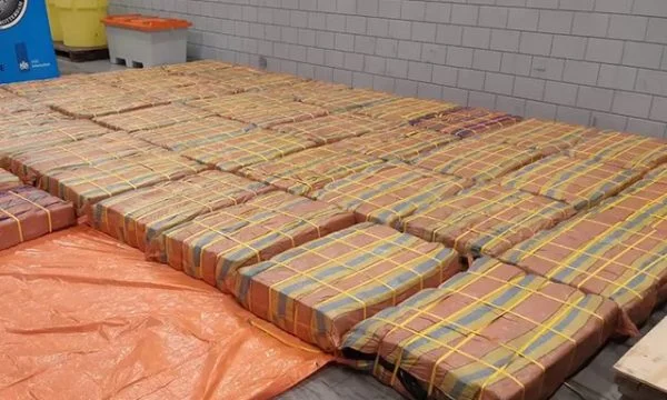 Sekuestrohen 3 ton kokainë brenda kontejnerit me banane që vinte nga Ekuadori