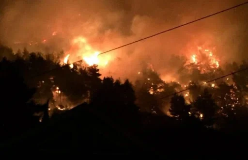 Zjarr i madh në arat e Vushtrrisë (Video)