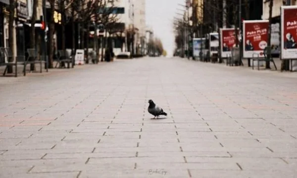 Ngjarjet që do të zhvillohen sot