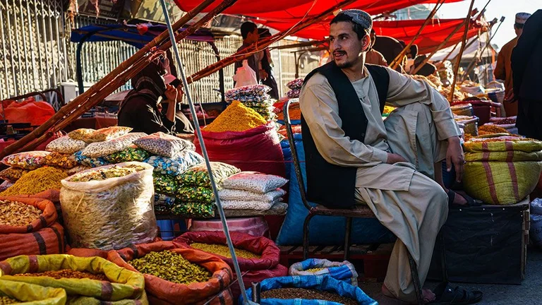 Numrat: Jeta në Afganistan pas largimit të Amerikanëve – Talibanët tashmë kanë pushtuar 1/3 e vendit
